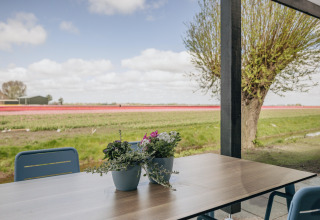 Udsigt fra terrasse ved Park Wijdenes 4 i Holland med bord, stole og blomsterpotter foran mark.