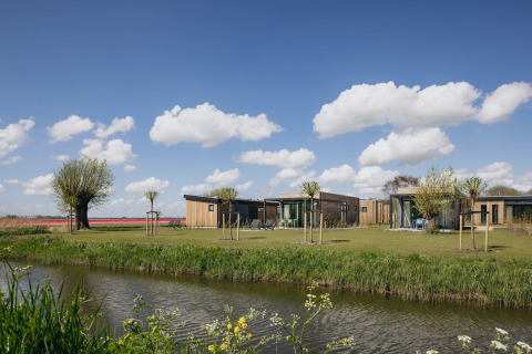 Moderne lodgehytter ved en sø med træer, grøn plæne og blå himmel med skyer i Danmark.