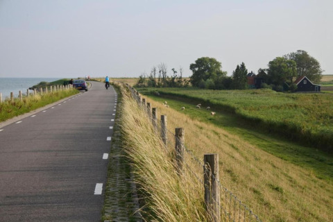 Landevej med cyklist, bil og gård i baggrunden, grønne marker og får nær en lodge i landlige omgivelser.
