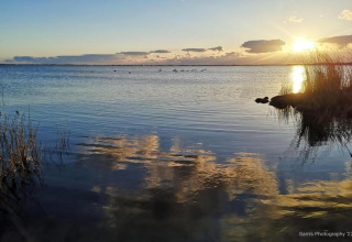 Solnedgang ved en sø med stille vand, siv og fugle i horisonten, taget fra en lodge i naturskønne omgivelser.