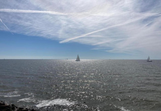 Udsigt til havet med sejlskibe, fredfyldt vand og blå himmel set fra en lodge tæt på kysten.