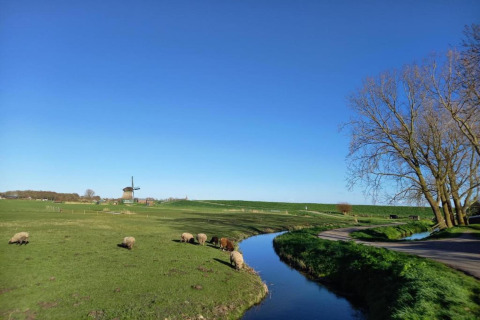 Pastorale landskab med får, en vindmølle i det fjerne, blå himmel og en lille flod ved en lodge.