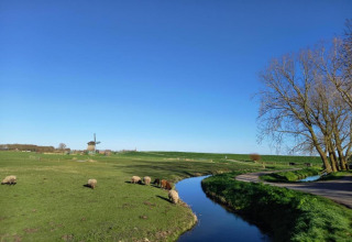Pastorale landskab med får, en vindmølle i det fjerne, blå himmel og en lille flod ved en lodge.