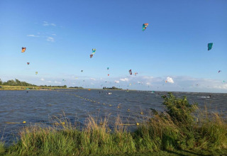 Farverig scene med mange kitesurfere på vandet ved en lodge under en blå himmel med grønt græs.