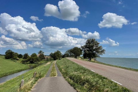 Landskabsbillede af en landevej ved siden af havet med grønne marker, træer og blå himmel med skyer.