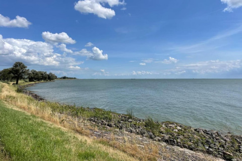 Udsigt over en rolig sø fra lodgeområdet med grønne træer, græs og blå himmel med skyer.