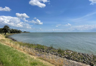 Udsigt over en rolig sø fra lodgeområdet med grønne træer, græs og blå himmel med skyer.
