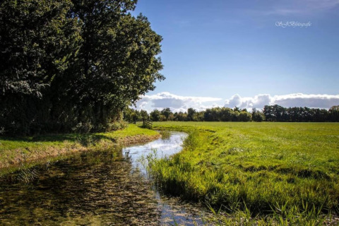 Fotografi af en grøn eng med en bæk ved Park Wijdenes 4 i Holland på en solrig dag.