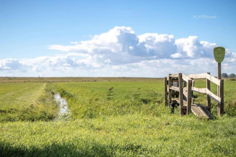 Udsigt over marker og blå himmel ved Park Wijdenes 4-lodgen i Holland med en træbro i forgrunden.
