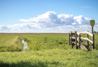 Udsigt over marker og blå himmel ved Park Wijdenes 4-lodgen i Holland med en træbro i forgrunden.