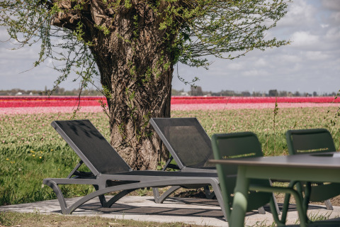 To liggestole under et træ med udsigt til farverige blomsterenge ved en lodge, perfekt til afslapning.