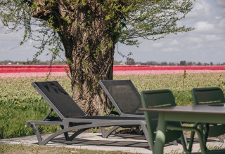 To liggestole under et træ med udsigt til farverige blomsterenge ved en lodge, perfekt til afslapning.