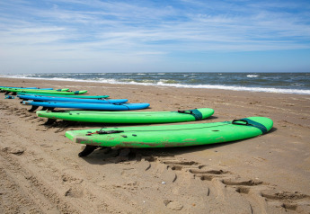 Surfbrætter i grønne og blå farver ligger på sandstranden ved havet under en klar blå himmel.