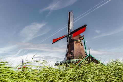 A traditional Dutch windmill stands amidst tall green grass beneath a vibrant blue sky with white clouds.
