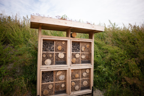 Een houten insectenhotel bij een lodge, omgeven door groene vegetatie onder een deels bewolkte hemel.