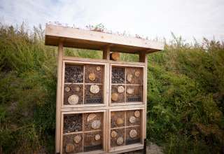 A wooden insect hotel stands near a lodge, surrounded by lush greenery under a partly cloudy sky.