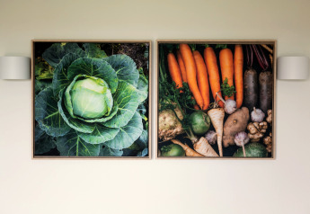 Deux tableaux muraux de légumes frais au Resort Callantsoog 1, Pays-Bas, avec chou et légumes racines.