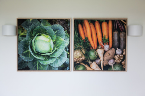 Two framed vegetable art prints on a wall at Resort Callantsoog 1 in the Netherlands, showing cabbage and roots.