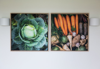 Two framed vegetable art prints on a wall at Resort Callantsoog 1 in the Netherlands, showing cabbage and roots.