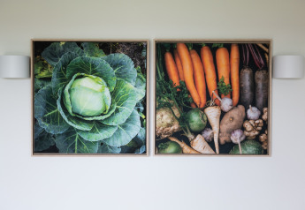 Dos cuadros de verduras en la pared del Resort Callantsoog 1 en Países Bajos muestran col y vegetales variados.