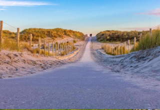 Zandweg tussen duinen met houten palen bij Resort Callantsoog 5 in Nederland onder avondlucht.