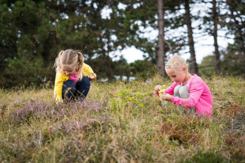 Deux enfants ramassent des fleurs et explorent l'herbe à Holiday Park Loodsmansduin 1, aux Pays-Bas.