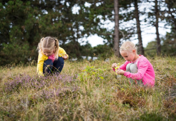 Two children pick flowers and explore in the grass near trees at Holiday Park Loodsmansduin 1, Netherlands.
