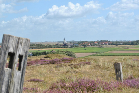 Vista dal Loodsmansduin 1: erica viola, campi verdi e chiesa di un villaggio olandese in lontananza.