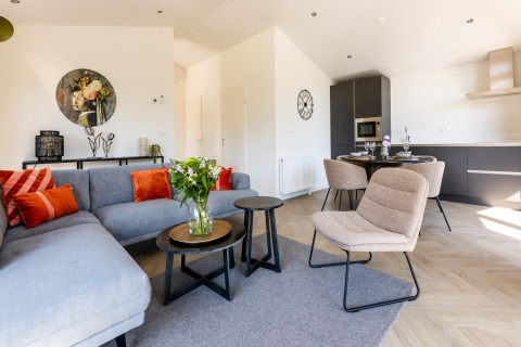Modernes Wohnzimmer und Küche eines Chalets im Holiday Park Molenvelden 7 in den Niederlanden, stilvoll möbliert.