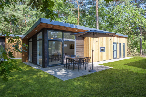 Modern lodge at Forest Park 't Wolfsven 9 with large windows, patio, umbrella, and surrounded by forest trees.