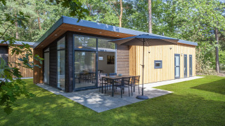 Modern lodge at Forest Park 't Wolfsven 9 with large windows, patio, umbrella, and surrounded by forest trees.