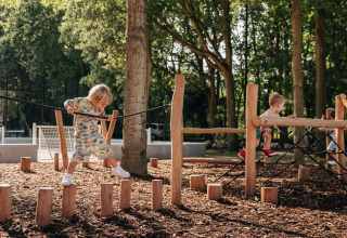 Bambini giocano su un parco giochi all'aperto con tronchi di legno in una lodge immersa nella foresta.