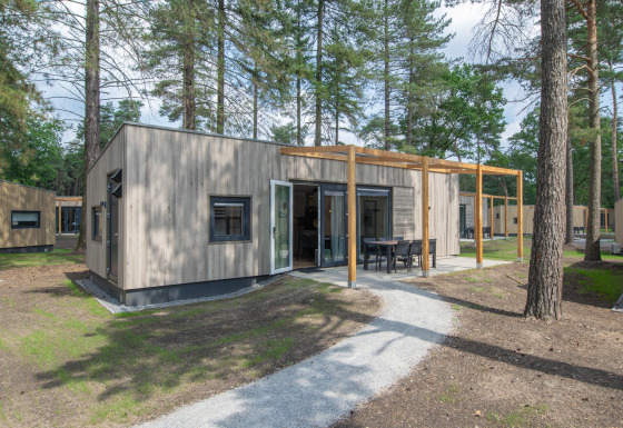 Lodge en bois moderne à Forest Park 't Wolfsven 20, entouré d'arbres, avec terrasse et mobilier extérieur.
