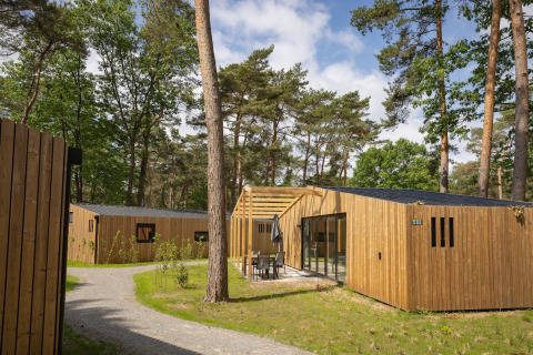 Modern wooden lodge at Forest Park 't Wolfsven 18, surrounded by tall trees and a natural forest path.