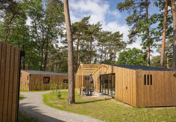Moderna cabaña de madera en Forest Park 't Wolfsven 18, rodeada de árboles altos y senderos naturales.