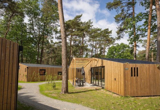 Lodge in legno moderno nel Forest Park 't Wolfsven 18, circondato da alberi alti e sentieri naturali.