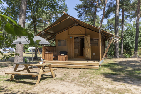 Tente safari à Forest Park 't Wolfsven 12 avec terrasse en bois, table de pique-nique et parasol en forêt.