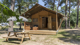 Safari-Zelt im Forest Park 't Wolfsven 12 mit Holzterrasse, Sitzbank und Schirm in waldreicher Umgebung.