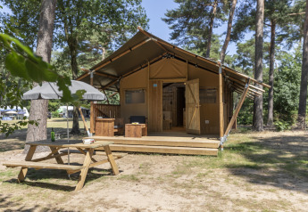 Tente safari à Forest Park 't Wolfsven 12 avec terrasse en bois, table de pique-nique et parasol en forêt.