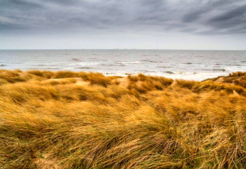 Blick von einer Lodge auf grasbewachsene Dünen, stürmische Wolken und die Nordsee im Hintergrund.