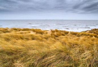 View from a lodge over windswept dunes with yellow grass, dark clouds, and waves on the seashore beyond.