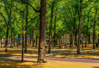 Parque con altos árboles y bancos y luz solar, en Holiday Park Kijkduin 9, Países Bajos.