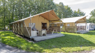 Tienda safari en Holiday Park Klein Vink 21 con terraza de madera, césped verde y árboles alrededor.