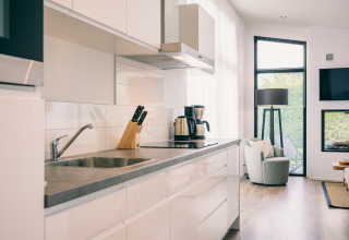 Modern kitchen and living area at Holiday Park Zeedijk 1, Netherlands, with bright decor and large windows.