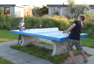 Two boys playing table tennis outdoors at a safari tent campsite, surrounded by greenery and sunshine.