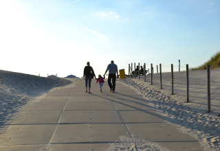 A family walks hand in hand along a paved path by the sandy beach during a bright, sunny day.