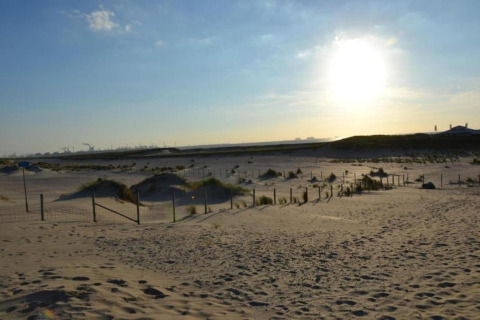 Photo taken at a safari tent site on a sandy beach with dunes, fencing, and the sun setting behind.