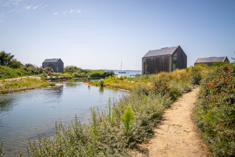Cabanes écologiques à l’Eco Resort Grevelingenstrand aux Pays-Bas, entourées de verdure et d’eau.