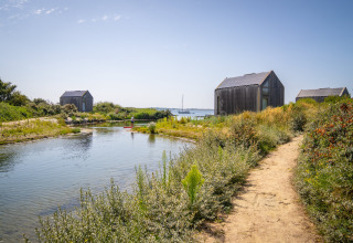 Cabanes écologiques à l’Eco Resort Grevelingenstrand aux Pays-Bas, entourées de verdure et d’eau.