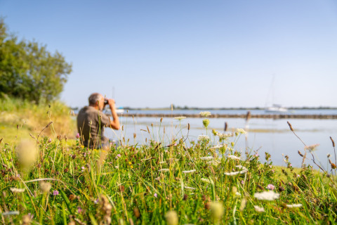Homme aux jumelles près du lac à Eco Resort Grevelingenstrand, entouré de fleurs sauvages et herbes.